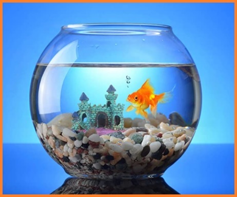 Acquario casa per pesci | Grandi Sconti | Acquario di vetro