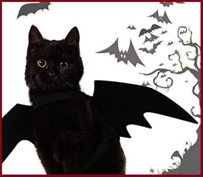 Animali vestiti per halloween pipistrello | Grandi Sconti | Costumi Halloween economici fai da te