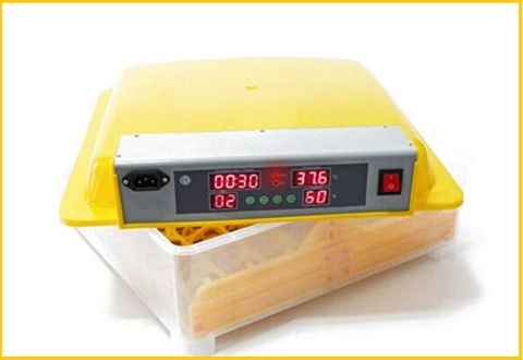 Incubatrice automatica professionale 48 uova | Grandi Sconti | Cova uova: incubatrici artificiali