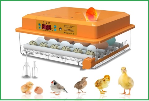 Incubatrice moderna automatica per uova | Grandi Sconti | Cova uova: incubatrici artificiali