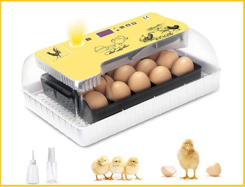 Incubatrice automatica per pulcini | Grandi Sconti | Cova uova: incubatrici artificiali