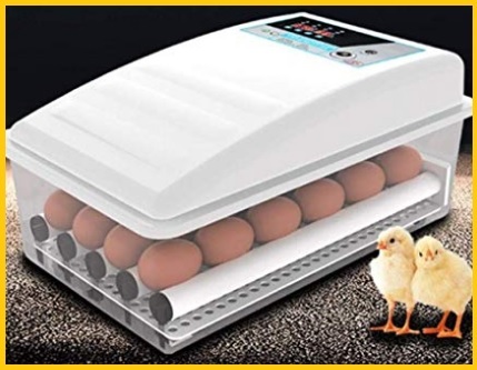 Incubatrice automatica per galline | Grandi Sconti | Cova uova: incubatrici artificiali