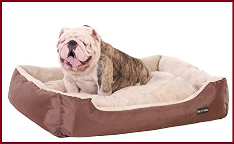 Cuccia letto per cani esterno | Grandi Sconti | Cuccia Letto per Cani