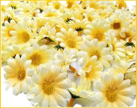 Fiori gialli per bomboniere | Grandi Sconti | fiori