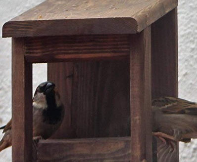 Mangiatoie per uccelli in legno | Grandi Sconti | Mangiatoie