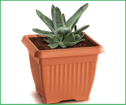 Vasi quadrati plastica per piante | Grandi Sconti | vasi