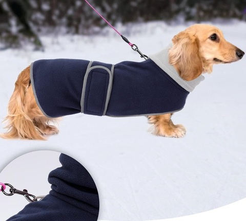 Cappotto per bassotti | Grandi Sconti | Abbigliamento per bassotti