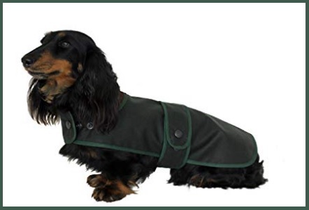 Abbigliamento per bassotti cane