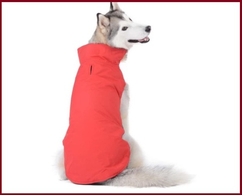 Vestiti per cani grandi | Grandi Sconti | Abbigliamento cani