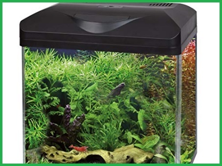 Acquario Completo Led