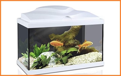 Acquario con led bianco