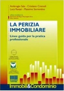 Volume guida per pratica professionale e perizia immobiliare