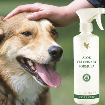 Aloe veterinary formula