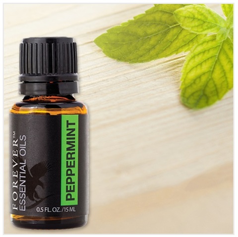 Forever essential oils peppermint
