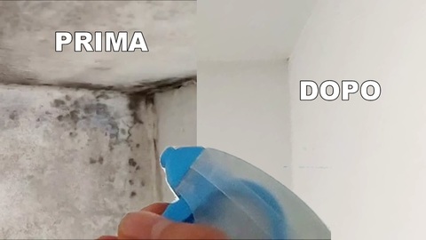 Muffa in casa? trucco veloce per eliminarla. cosa sapere. | Grandi Sconti | Video Fai da Te