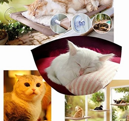 Mensola cuccia per gatti | Grandi Sconti | Tutto per il Gatto