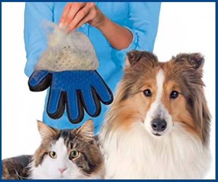 Gatti Accessori Casa