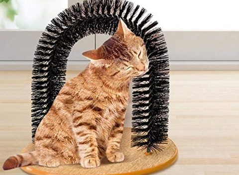 Gatti accessori peli spazzola | Grandi Sconti | Tutto per il Gatto