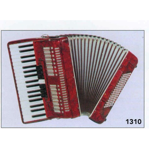 Fisarmonica 96 Bassi