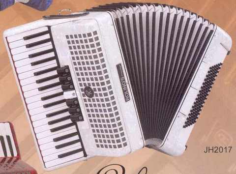 Fisarmonica 96 Bassi Roling's Jh2017