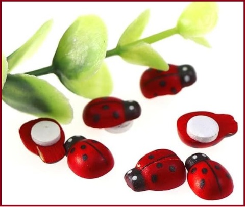 Coccinelle Adesive Bomboniere Segnaposto