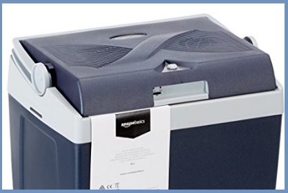 Borsa frigo portatile termoelettrico