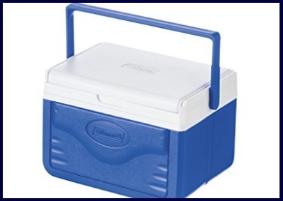 Borsa frigo rigida reversibile