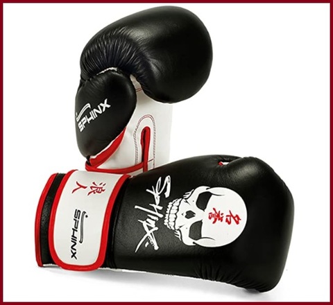 Guantoni boxe sphinx