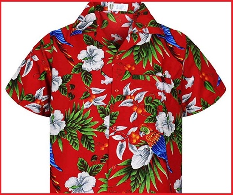 Camicie Hawaiane Uomo