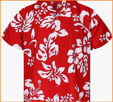 Camicia Hawaiana Uomo Rossa