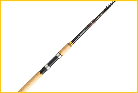 Canna da pesca daiwa telescopica