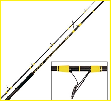 Canna da pesca rigida black cat