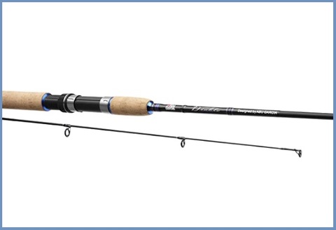 Canne pesca spinning professionale | Grandi Sconti | Canne da pesca