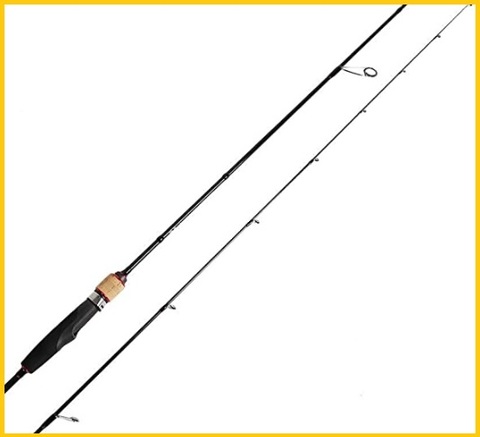 Canna da pesca professionale leggera