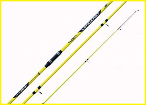 Canna da pesca per surfcasting