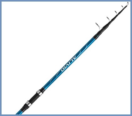 Canna Da Pesca Orata Professionale