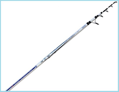 Canna Da Pesca Per Storione