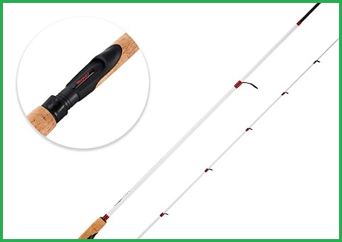 Canna da pesca spinning carbonio