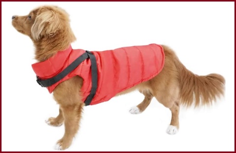 Cappotto cane taglia piccola | Grandi Sconti | Cappotto per cane