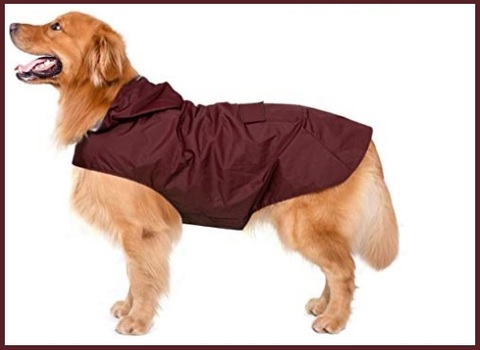 Cappotto Per Cani Impermeabile