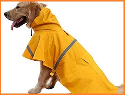 Cappotto Per Cane Taglia Media