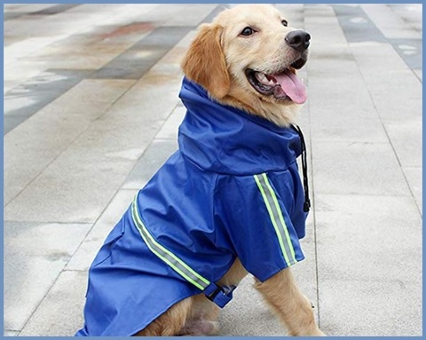 Cappotto per cane taglia media