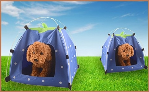 Tenda per gatti | Grandi Sconti | Gabbie per animali domestici Casette in legno