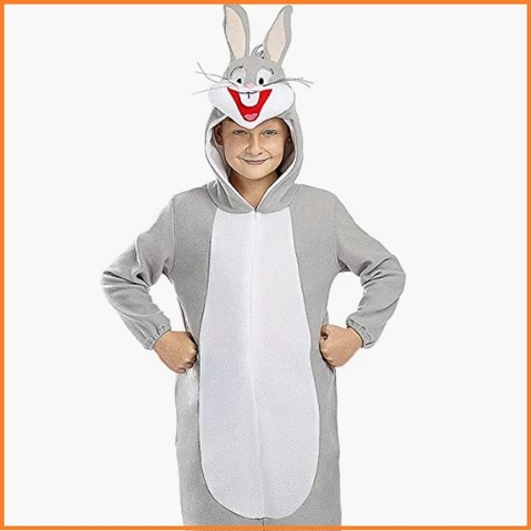 Costumi carnevale bambini looney tunes