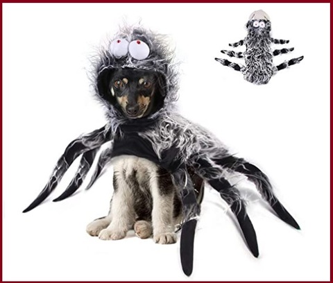 Animali vestiti da halloween cane