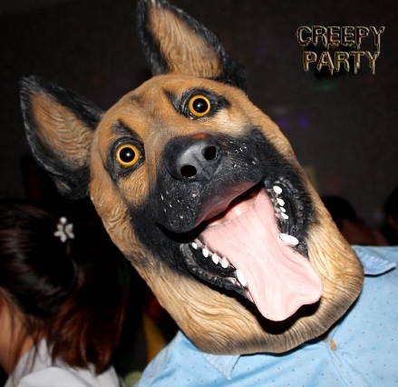 Foto animali halloween cane lupo