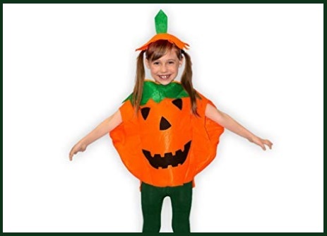 Halloween zucca costume