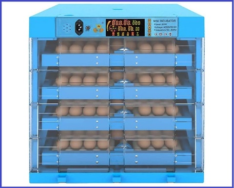 Incubatrice automatica uova con controllo della temperatura