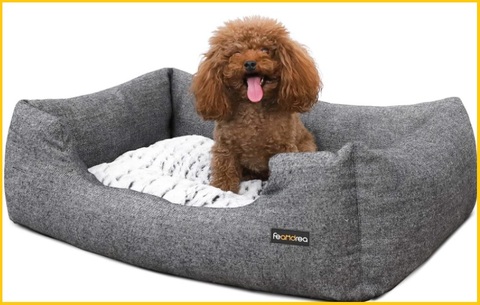 Letto cuccia lavabile cane | Grandi Sconti | Cuccia Letto per Cani