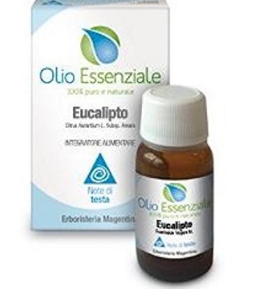 Olio Essenziale All'eucalipto Erboristeria